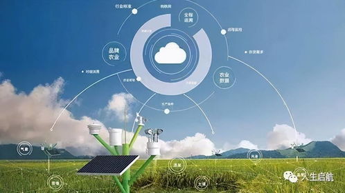 網(wǎng)絡(luò)技術(shù)開發(fā)專業(yè)就業(yè)前景盤點(diǎn) 揭秘未來職業(yè)發(fā)展方向